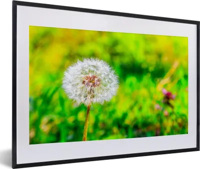 Produktbild von MuchoWow® Gerahmtes Poster Löwenzahn - Gras - Blume 60x40 cm - Poster mit Schwarzem Bilderrahmen Wandposter Rahmen Foto Bilder - Schlafzimmer - Plakat in Rahmen - Drucken