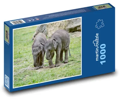 Obrázok produktu pre Puzzle 1000 Sloníčatá - slony, mláďatá - martinpuzzle