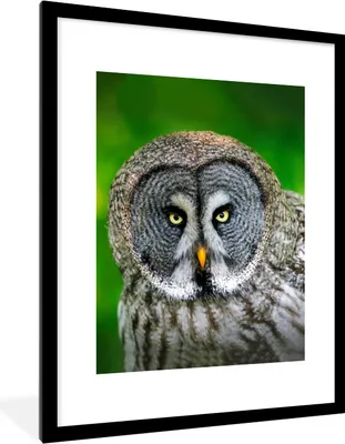 Produktbild von MuchoWow® Gerahmtes Poster Vogel - Eule - Tiere - Braun - Porträt 60x80 cm - Poster mit Schwarzem Bilderrahmen Wandposter Rahmen Foto Bilder - Wohnzimmer - Dekorationen - Prämie