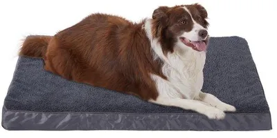 Image de Lit orthopédique pour grands chiens, réversible (froid/chaud), housse amovible, lavable en machine, imperméable, gris foncé, 89 cm × 68 cm × 7,5 cm