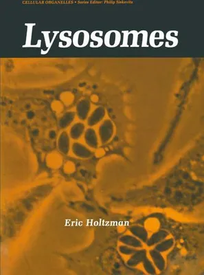 Image de Lysosomes