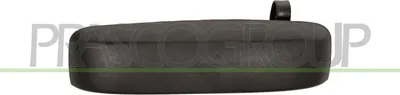 Produktbild von PRASCO FT1228102 Türgriff Hinten Links für FIAT PANDA (169) Schwarz