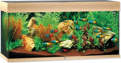 Produktbild von Juwel Rio 180 LED helles Holz - Aquarium Juwel