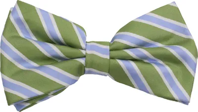 Produktbild von Fabio Farini - 1 Stück Herren Streifen Fliegen - Männer Querbinder Vorgebunden Bowtie Streifen - Grün/Blau/Weiß