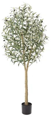 Image de Arbre d'olivier en plastique, 150 cm, pour la décoration intérieure