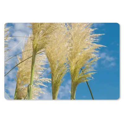 Produktbild von MuchoWow® Schreibtischunterlage Pflanzen - Pampasgras - Luft 60x40 cm - XXL Mauspad - Großes Mauspad