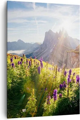 Produktbild von Bild auf Leinwand - Leinwandbild - Einteilig - Berge Wiese Blumen - 70x100cm - Wand Bild - Wanddeko - Wandbilder - Leinwanddruck - Wanddekoration - Leinwand bilder - Wandbild - PA70x100-4008