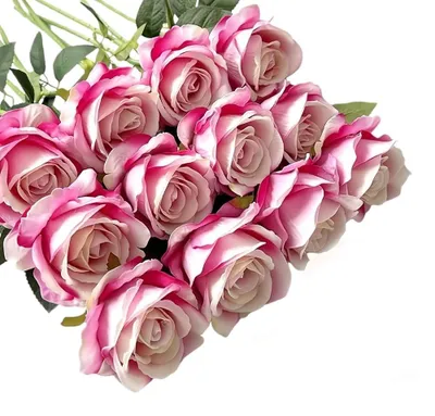 Image de Roses artificielles, 12 bouquets - tiges de 51 cm - roses factices - fleurs artificielles pour la décoration de mariage - fleurs en soie - aspect réaliste - Neprosen