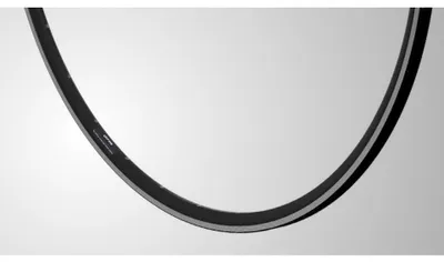 Immagine prodotto di Cerchio 28 (622) Ryde DP16 u.p. 32g s14 nero