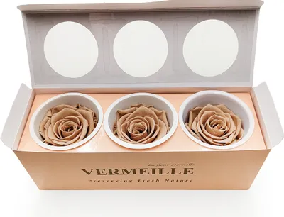 Produktbild von Stabilisierte Rose - Nude - XL - 3 Stk
