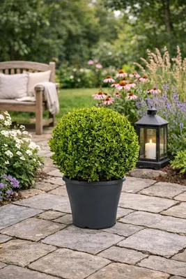 Immagine prodotto di Palla di bosso Ø 35 cm - pianta artificiale sempreverde Buxus sempervirens per giardino e decorazione
