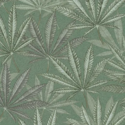 Immagine prodotto di Profhome 399841-GU Carta da parati floreale opaca verde chiaro menta-turchese 5,33 m2