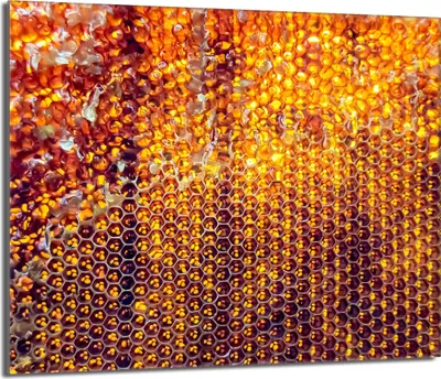 Produktbild von Herdabdeckplatte 60x52 Glaskeramikkochfeld Abdeckung Spritzschutz Glasplatte Deko Schneidebrett, Schwarz Orange