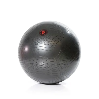 Image de GYMSTICK Gymnastikball Antiburst avec Pumpe, Onlinevideo 55cm