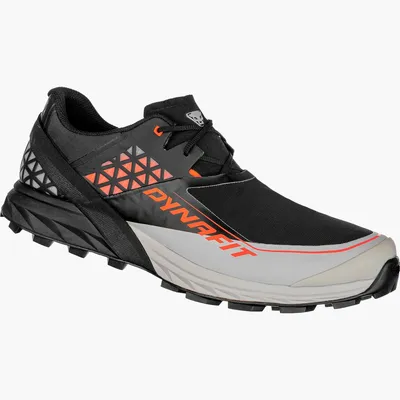 Produktbild von Dynafit Schuhe Alpine Dna, 640620993, Größe: 46,5