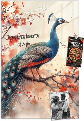 Produktbild von Magnettafel 60x90cm Pinnwand Whiteboard beschreibbar - Pfau und Blüten