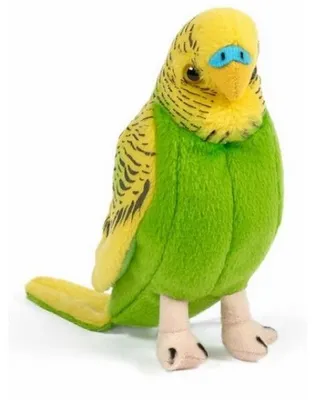Image de Peluche perruche verte 20 cm - living nature an380a