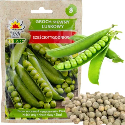 Zdjęcie produktu dla W0746 Groch Siewny Łuskowy Sześciotygodniowy Nasiona 50G Szybki Zbiór