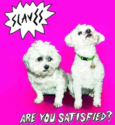 Produktbild von Are You Satisfied?
