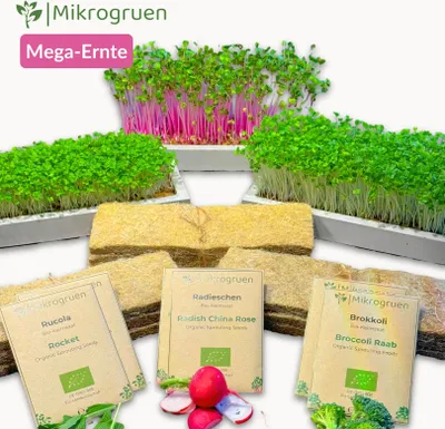 Produktbild von Microgreens Maxi-Set Keimsaat und Anzuchtpads Brokkoli Radieschen Rucola