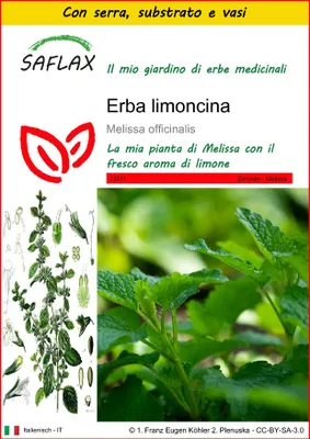 Immagine prodotto di SAFLAX Insieme di coltivazione - Erba limoncina - 150 semi - Melissa