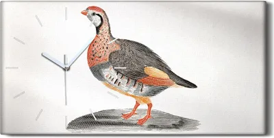 Produktbild von Wandbild Leinwand Bilder mit Uhr Geräuschlos 60x30 Zeichnung Tier Vogel Kunst - weiße Hände