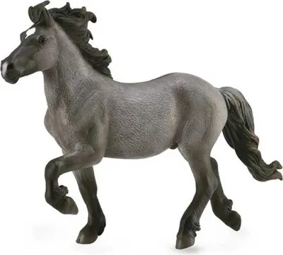 Produktbild von COLLECTA Isländischer Hengst Wild Color - (XL)