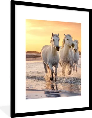 Produktbild von MuchoWow® Gerahmtes Poster Pferde - Sonne - Meer - Strand - Tiere 60x80 cm - Poster mit Schwarzem Bilderrahmen Wandposter Rahmen Foto Bilder - Wohnzimmer - Dekorationen - Prämie