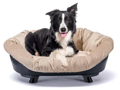 Produktbild von Ferplast Hundebett & Katzenbett mit Kissen, Hundebett waschbar, erhöhtes Hundebe