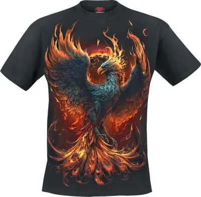 Produktbild von Spiral T-Shirt Herren Ashes Reborn schwarz Basics, Rockwear 100% Baumwolle L