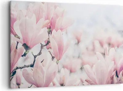 Produktbild von Bild auf Leinwand - Leinwandbild - Einteilig - Magnolie Blumen Rosa - 120x80cm - Wand Bild - Wanddeko - Wandbilder - Leinwanddruck - Bilder - Wanddekoration - Leinwand bilder - AA120x80-4396