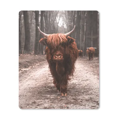Obrázek produktu pro Podložka pod myš - Skotský horal - Les - Kráva - Zvířata - Příroda - 30x40cm - Podložka pod myš