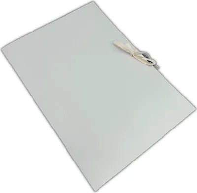 Immagine prodotto di Cartella in cartone rilegato 450g 320x230x50 ARO