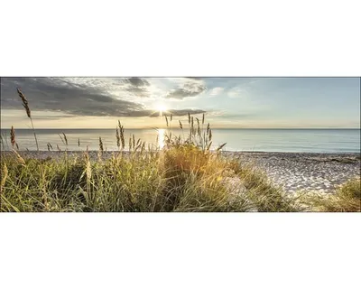 Produktbild von Glasbild Wilder Strand I 80x30 cm