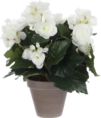 Produktbild von Mica Decorations Begonien Kunstpflanze im Blumentopf Stan - H30 x Ø25 cm - Weiß