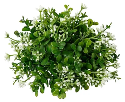 Produktbild von GASPER Eucalypthus-Halbkugel Grün-Weiß Ø 17 cm - Kunstblumen