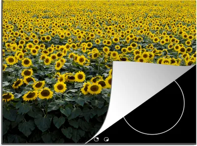 Produktbild von KitchenYeah© Herdabdeckplatte Blumen - Sonnenblume - Feld , 60x52cm, Küche Deko, Glaskeramikkochfeld Herdabdeckung, Abdeckplatte fùr Kochfeld