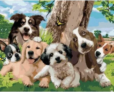Image de 50x40 cm Peinture par numéros Set avec cadre en bois Chiens sous un arbre