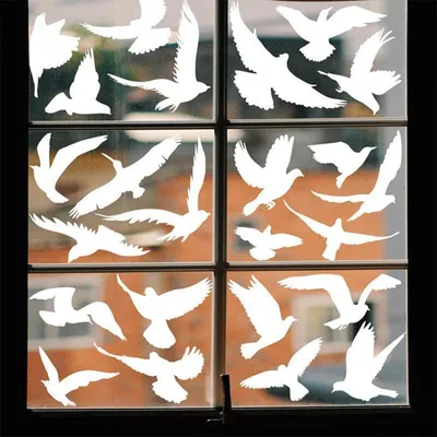 Immagine prodotto di Adesivi per finestre, protezione per gli uccelli, confezione da 37 pezzi, colore bianco