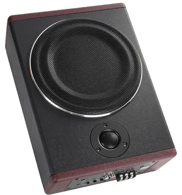 Zdjęcie produktu dla Aktywny subwoofer samochodowy - 20 cm - 600 W - Bardzo płaski - Kompaktowy - Do montażu pod siedzeniem samochodu