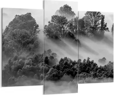 Produktbild von Bild auf Leinwand - Leinwandbild - 3 Teile - Schwarzweiß Bäume Nebel - 130x100cm - Wand Bild - Wanddeko - Wandbilder - Leinwanddruck - Bilder - Wanddekoration - Leinwand bilder - CB130x100-4510