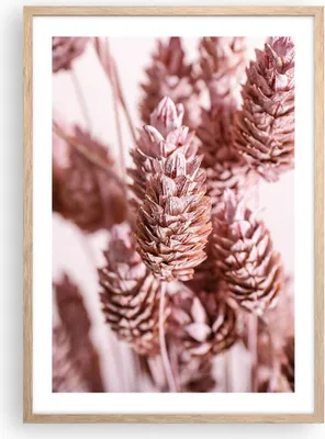 Produktbild von Gerahmtes Poster - Rahmen in heller Eiche - Getrocknet Blume Eco - 50x70 cm - Wand Bild - Wanddeko - Wandbilder - Kunstposter - Wandposter - Bilderrahmen - Bilder - Kunstdruck - P2NPA50x70-4912