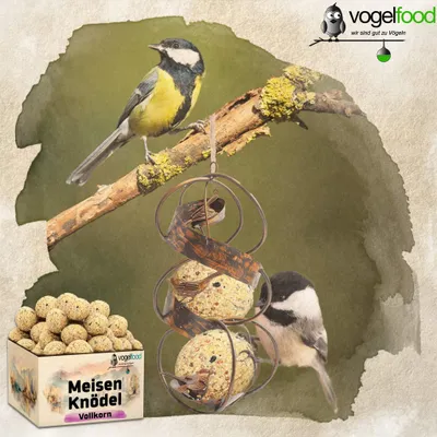 Produktbild von 200 x 90 g Vollkorn Meisenknödel ohne Netz Meisenfutter Vogelfutter