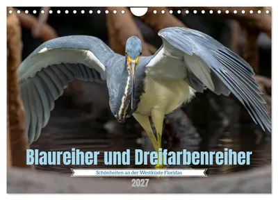 Produktbild von Blaureiher und Dreifarbenreiher (Wandkalender 2027 DIN A4 quer), CALVENDO Monatskalender