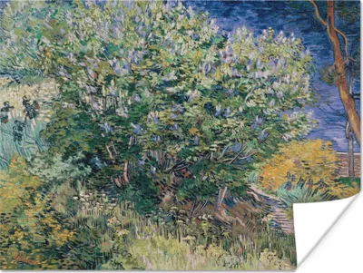 Produktbild von MuchoWow® Poster Fliederbusch - Vincent van Gogh 120x90 cm - Wandbild