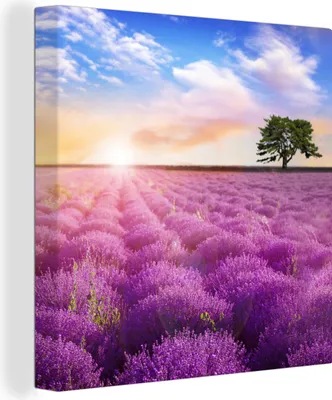 Produktbild von OneMillionCanvasses® - Leinwandbilder - Bild auf Leinwand Wandbild Leinwandbild Lavendel - Baum - Sonnenuntergang - Lila, 90x90 cm, Kunstdruck Wandkunst Gemälde auf Holzrahmen - Malereien - Wandschmuckes