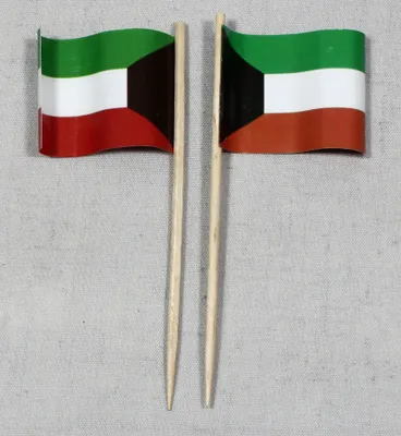 Produktbild von Party-Picker Flagge Kuwait Papierfähnchen in Spitzenqualität 25 Stück Beutel