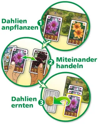 Produktbild von Bohnanza Dahlia