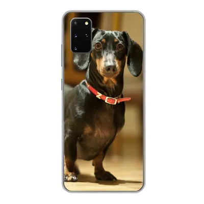 Produktbild von MuchoWow® Handyhülle Schutzhülle Hülle für Samsung Galaxy S20 Plus Porträt eines schwarzen Dackels Silikon Softcase Handy Hülle - Hartschale