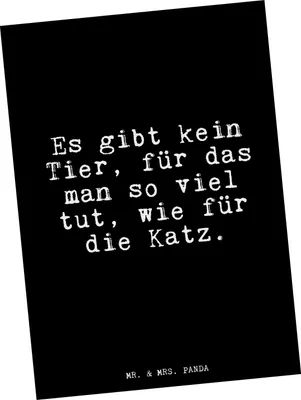 Produktbild von Mr. & Mrs. Panda Postkarte Es gibt kein Tier,... - Schwarz - Geschenk, Ansichtskarte, Kater, Spruch, Sprüche, Grußkarte, witzig, Herrchen, Postkarten, bildkarte, Katz